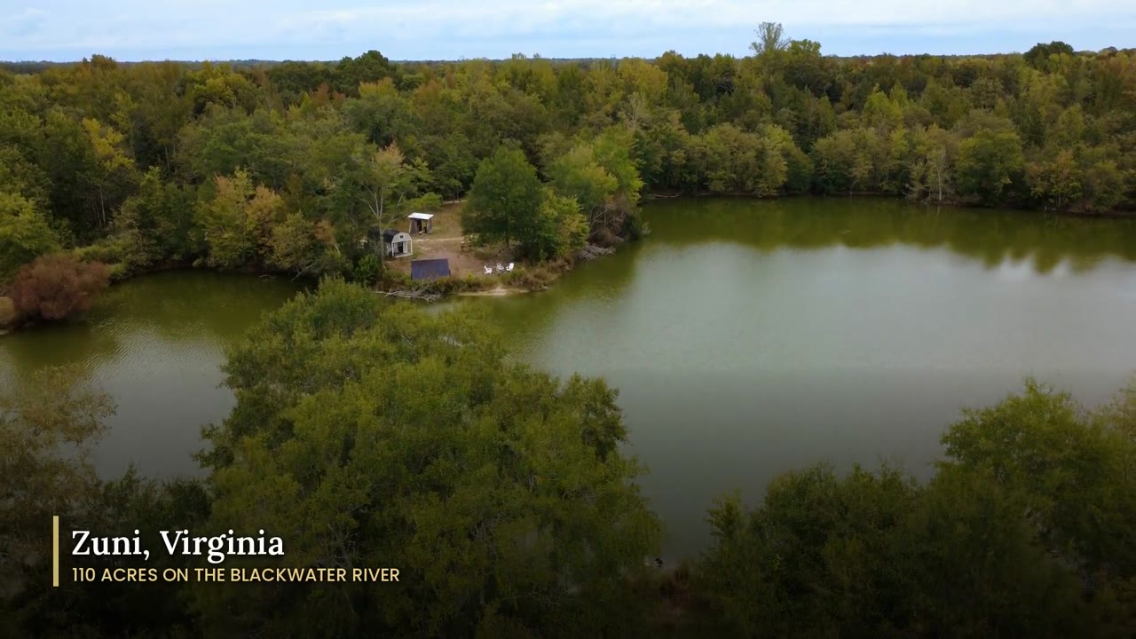 Still from the Blackwater Birds & Bees video